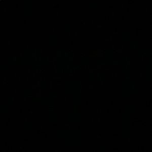 Meet your Posher, Xenia